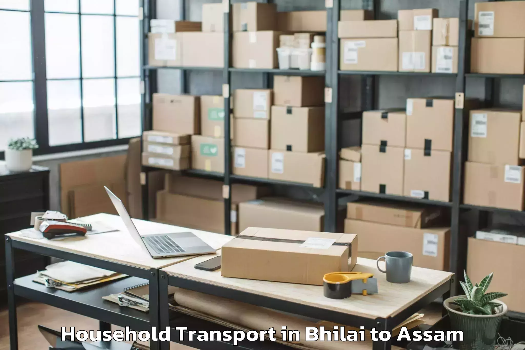 Reliable Bhilai to Howraghat Household Transport